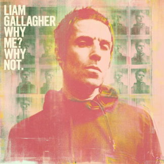 LP пластинки GALLAGHER, LIAM · WHY ME? WHY NOT.