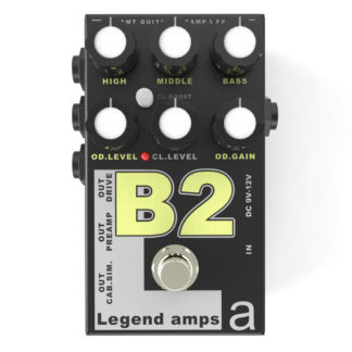 AMT Electronics B-2 Legend Amps 2 гит.предус.