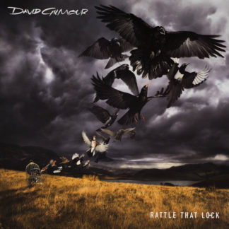 LP пластинка DAVID GILMOUR / RATTLE THAT LOCK