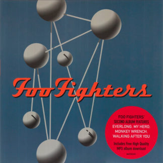 LP Пластинка Foo Fighters - The Colour And The Shape